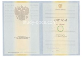 Диплом специалиста 2010-2011 в Щёлково
